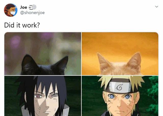 当动漫人物被恶搞为鸡冠猫耳头，兵长冷酷无情，平泽唯可爱呆萌