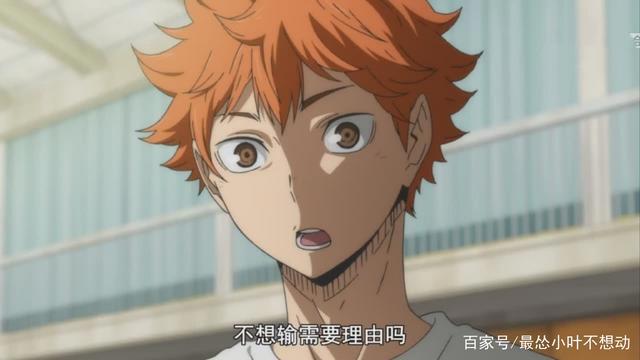 《排球少年》第四季先导片来了，寒假正式放映，敬请期待