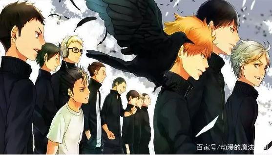 《排球少年》：就算个子小也有实现梦想的权力，朝着梦想飞吧