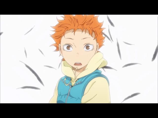 排球少年：我辈名为日向则向阳而生，定要看看顶端的景色