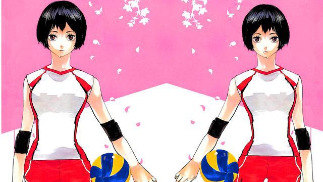 排球少年：动漫里光头面对美少女的表白，竟然拒绝，他哪来的勇气