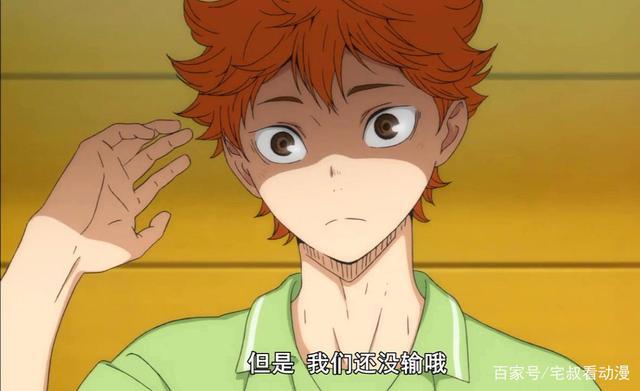 动漫推荐！《排球少年》赤子追梦，青春无悔