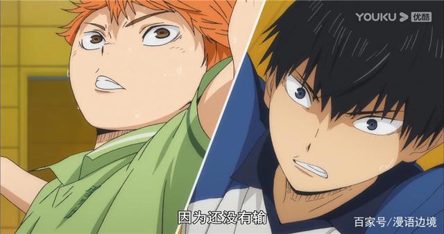 热血宝藏运动番《排球少年》，这一次千万别错过