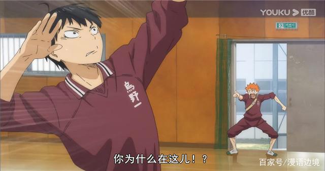 热血宝藏运动番《排球少年》，这一次千万别错过