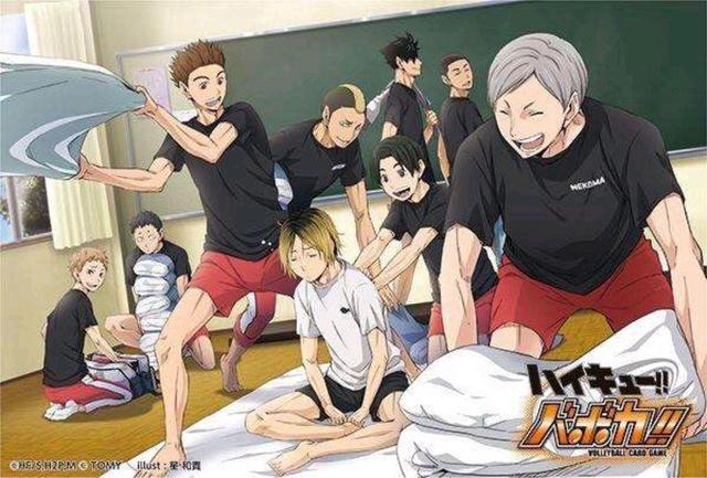 最受推荐的青春励志向动漫之一——《排球少年！》
