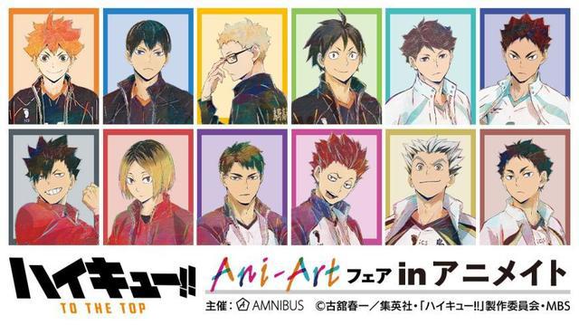 《排球少年》动画剧情整理：人物介绍、故事大纲