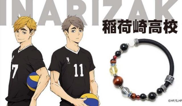 《排球少年》动画剧情整理：人物介绍、故事大纲