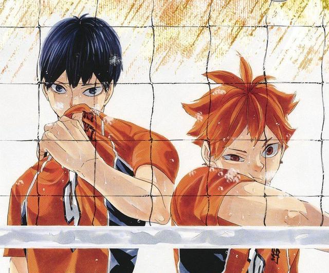 人气漫画《排球少年》最终章发布！看到最后一页的场景泪目了