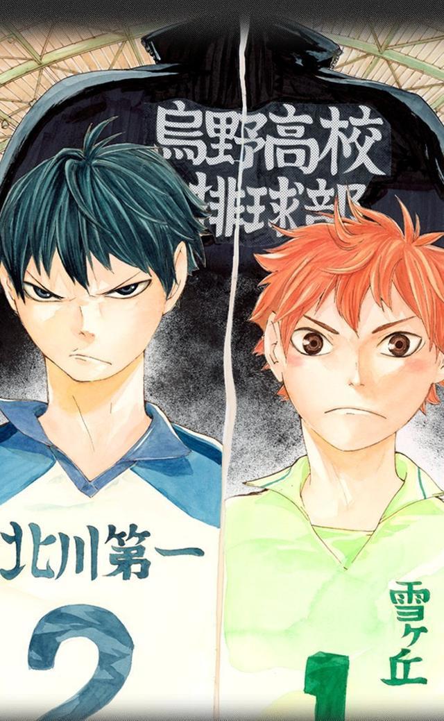 人气漫画《排球少年》最终章发布！看到最后一页的场景泪目了