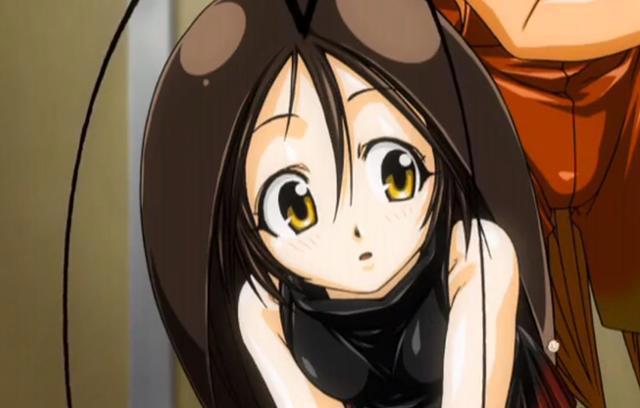 “南方蟑螂”与“北方蟑螂”有啥区别？网友用动漫做了个对比