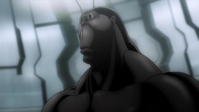 “南方蟑螂”与“北方蟑螂”有啥区别？网友用动漫做了个对比