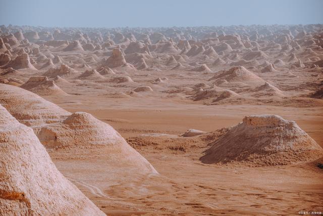 由火星异种联想到蟑螂惊人的身体素质和繁殖力