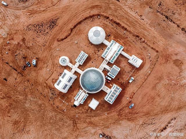 由火星异种联想到蟑螂惊人的身体素质和繁殖力