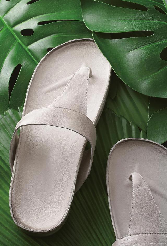 由火星异种联想到蟑螂惊人的身体素质和繁殖力