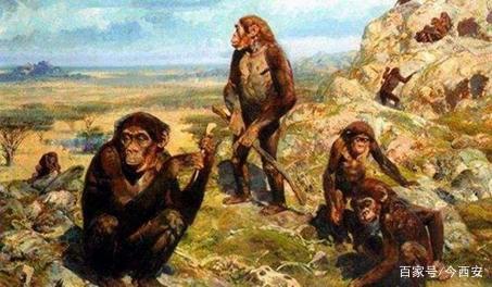 《我的爸爸是森林之王2》，问题少年与他的“野人”父亲