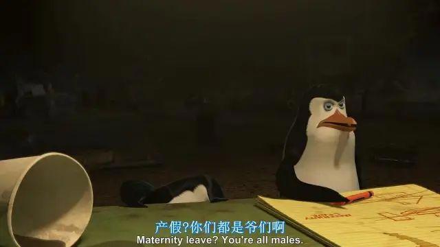 《马达加斯加2：逃往非洲》友情与爱情生活与工作