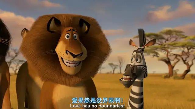 《马达加斯加2：逃往非洲》友情与爱情生活与工作