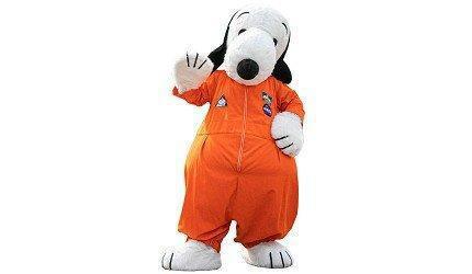 “史努比“动漫迷的福音：晴空塔举行史努比“诞生50周年特别展览