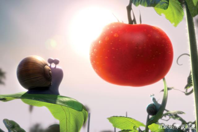 极速蜗牛：为了爱与梦想不断挑战自己，蜗牛也能跑的飞快