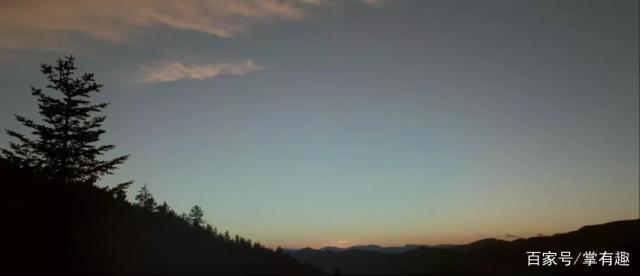 《昆虫总动员2》：故事并不复杂，更像是一个童话