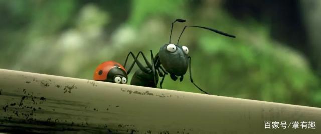 《昆虫总动员2》：故事并不复杂，更像是一个童话