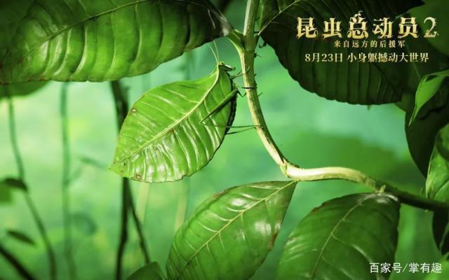 《昆虫总动员2》：故事并不复杂，更像是一个童话