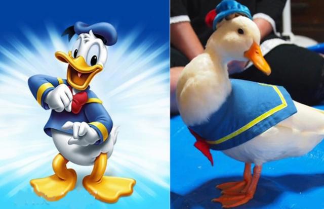 二次元角色来到现实生活，海绵宝宝不再可爱，蓝精灵依然人见人爱