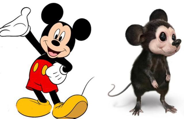 二次元角色来到现实生活，海绵宝宝不再可爱，蓝精灵依然人见人爱