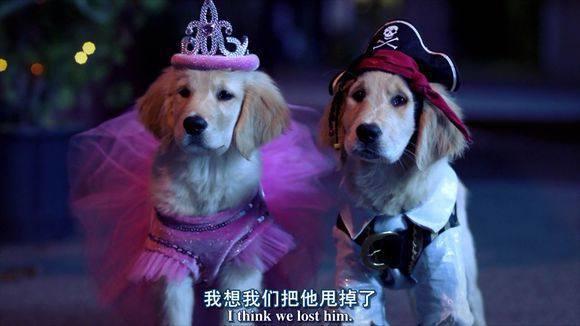 狗年到！这些“狗狗动漫”怎能错过呢？《天才眼镜狗》来拜年咯！