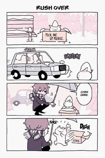 漫画：小男孩与流浪猫，从四目对视开始，到各种花式炫宠结束