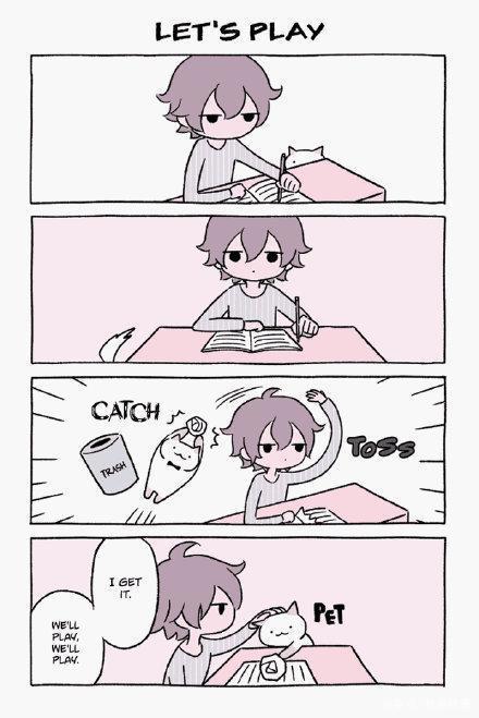 漫画：小男孩与流浪猫，从四目对视开始，到各种花式炫宠结束