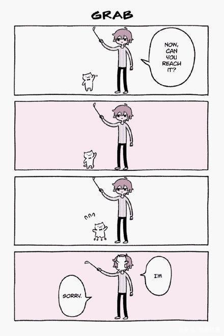 漫画：小男孩与流浪猫，从四目对视开始，到各种花式炫宠结束