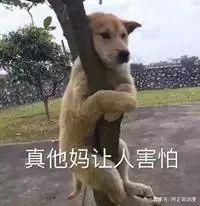 这部动画如此黑暗，却也能让你相信这世上依旧存有美好