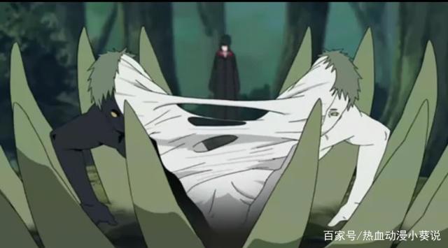 忍者世界的走向竟然都受制于一个意志的产物！意志的真相令人颤抖