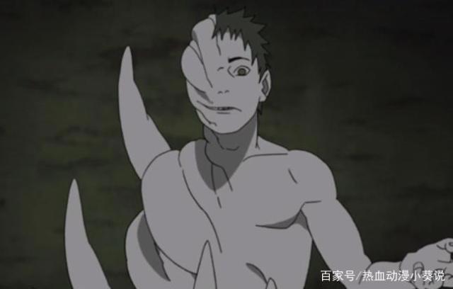 忍者世界的走向竟然都受制于一个意志的产物！意志的真相令人颤抖