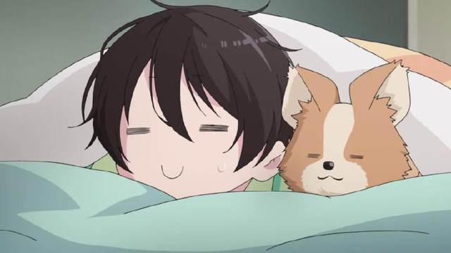 看完这部动漫，我现在只想去露营，却一出门就被冻回来了！