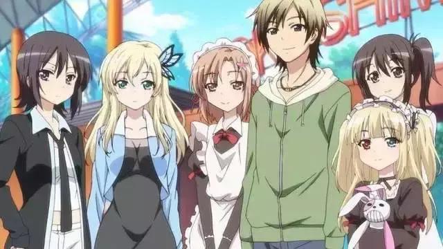 自从看了这些后宫番，我的人生开启了新的大门！