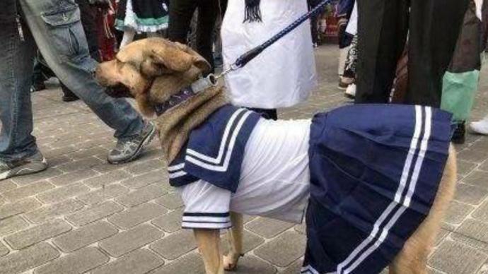 “二次元”是如何一步一步沦为贬义词的？