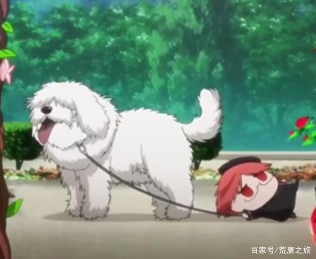 Q弹可爱，像团子一样的海涅老师