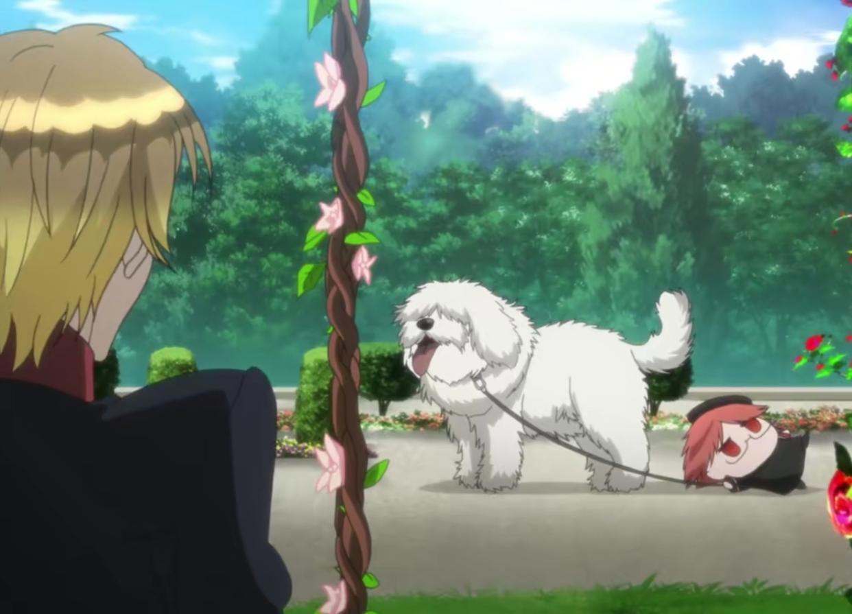 王室教师海涅：这个教师过分可爱，前方高萌！