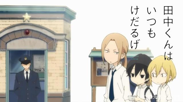 田中君总是如此慵懒：懒癌患者日常懒得清新脱俗，将慵懒进行到底