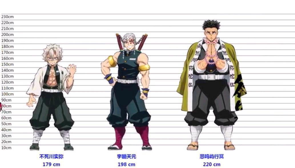 鬼灭之刃角色身高：祢豆子身高153低于平均水平，他的身高接近姚明