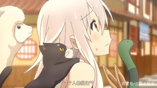 五部超萌动漫，千矢珈百璃上榜，你都看过吗？