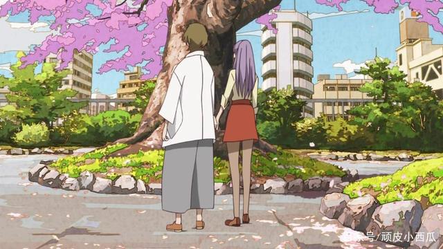 毛球遍地走，狸猫满天飞《有顶天家族》