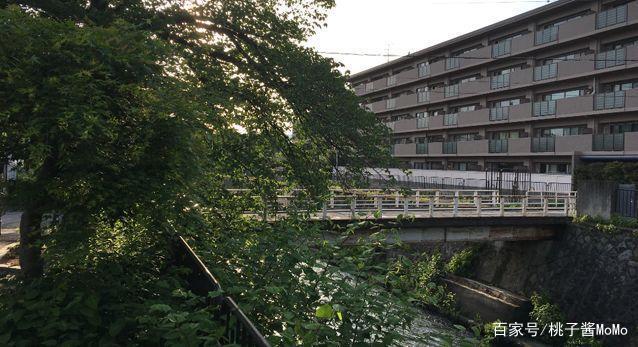 「圣地巡游」PA社作品《有顶天家族》，附大哥婚礼誓词