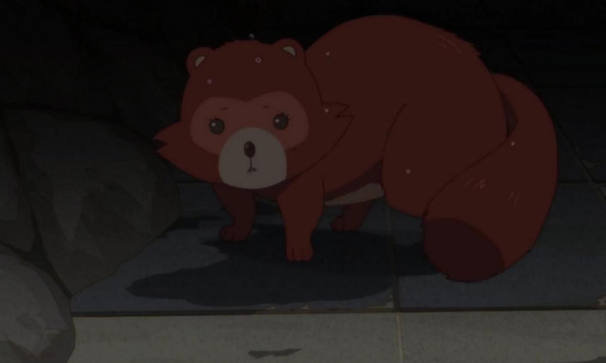 有顶天家族：一个傻瓜一般的狸猫家族，虽然很傻，但是过得很快乐