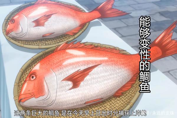 厨神小当家第5集：有趣的食材，比人还大的水牛，会变性的鲷鱼！