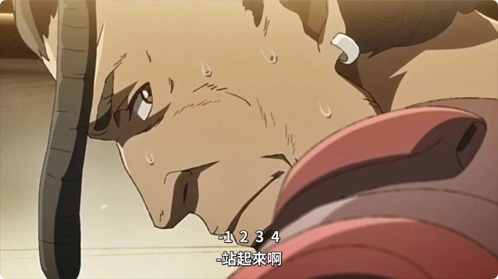 两百万人刷通宵的《机甲拳击》第二季，一夜9.9