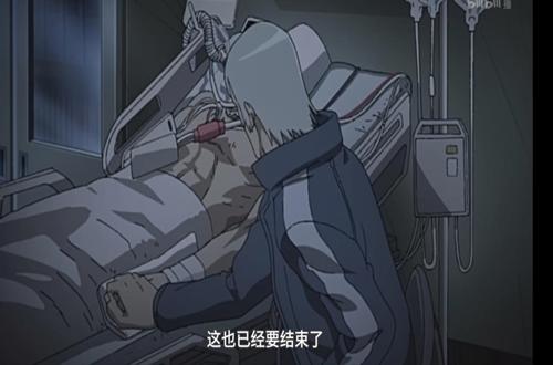 装甲重拳：野狗能否再登擂台斩获拳王？