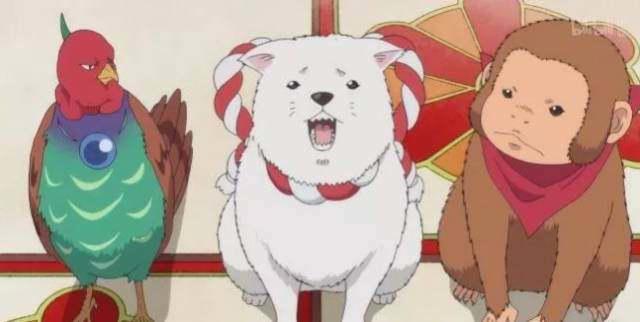 吓你是我的伪装，撩你才是真实目的